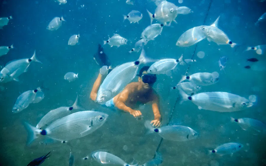 Snorkeling à Minorque