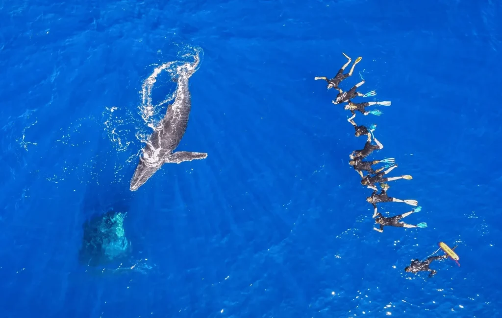 Snorkeling à La Réunion