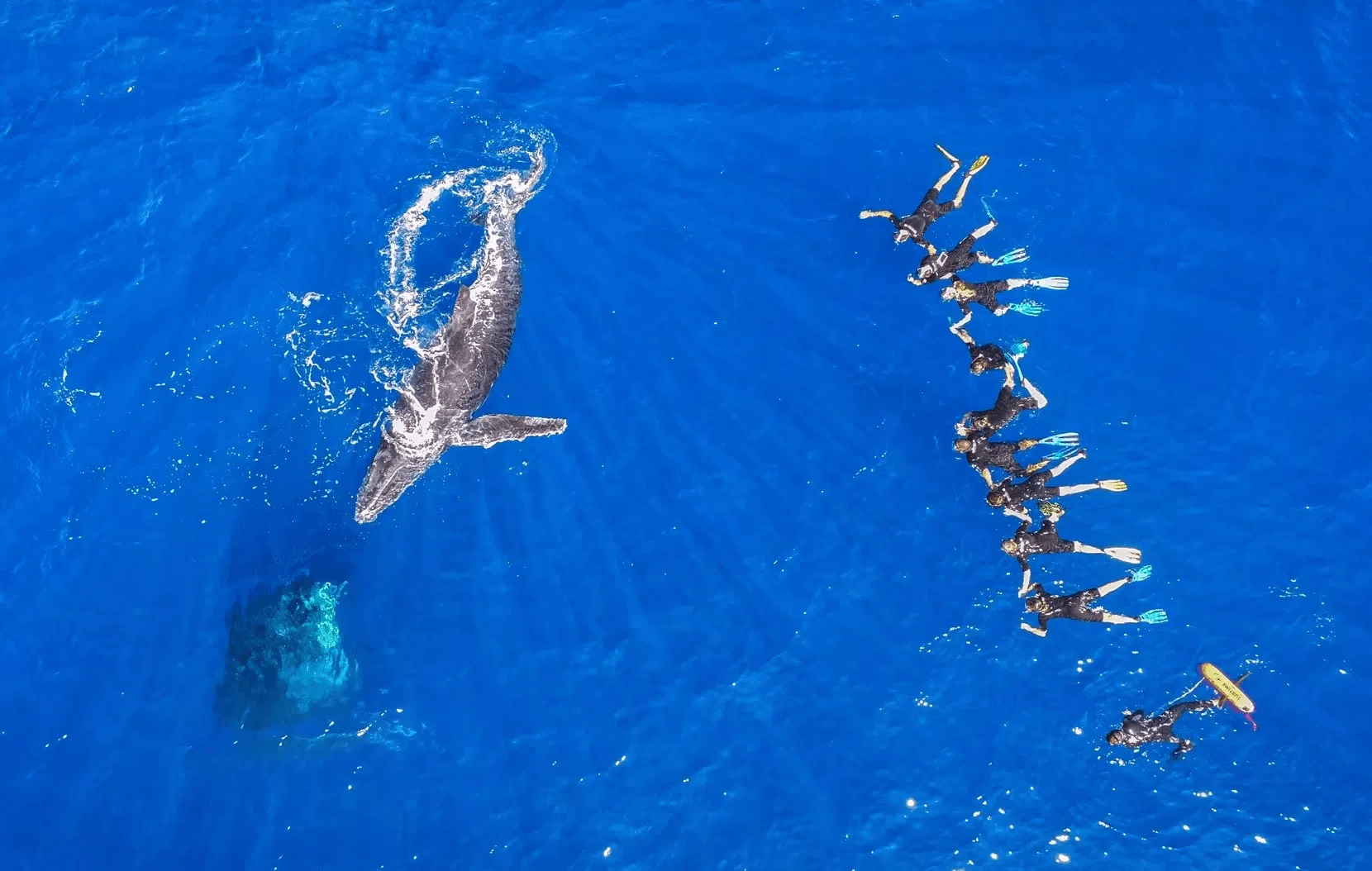 Snorkeling à La Réunion
