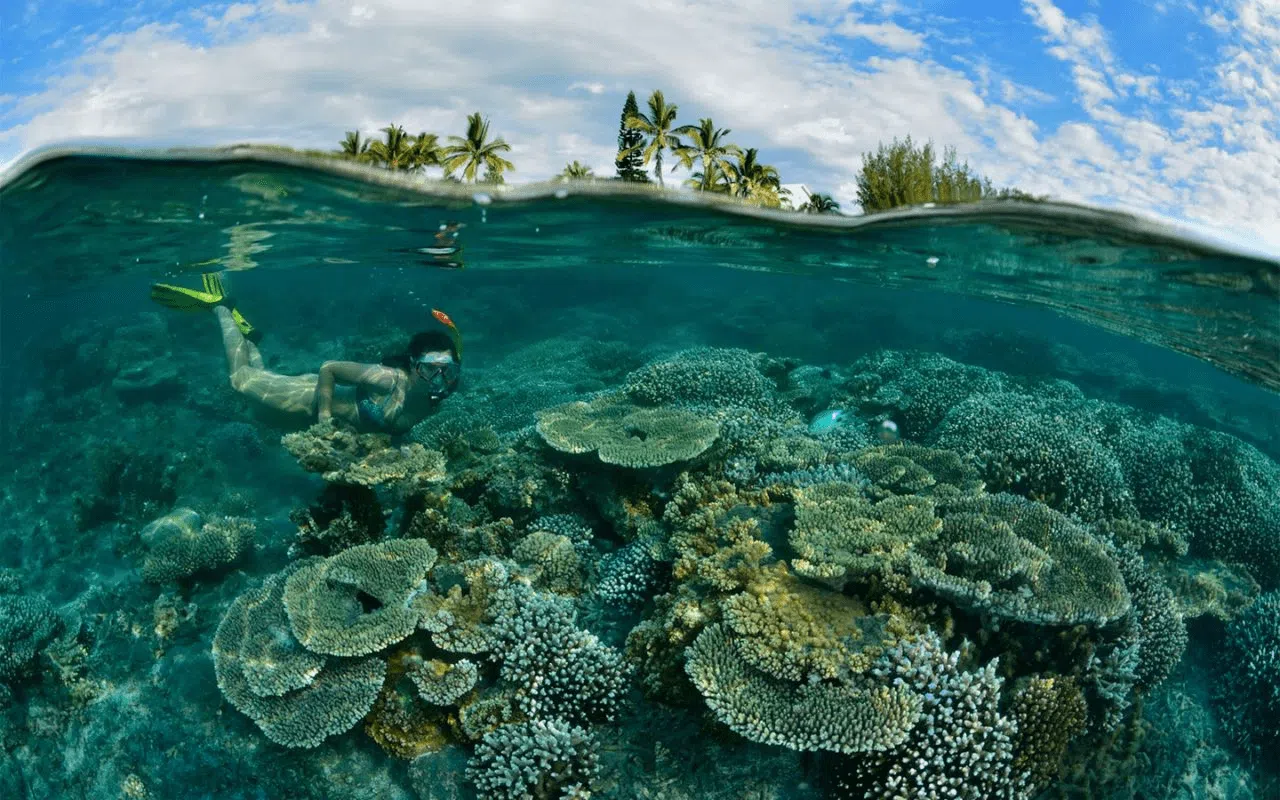 Snorkeling à La Réunion