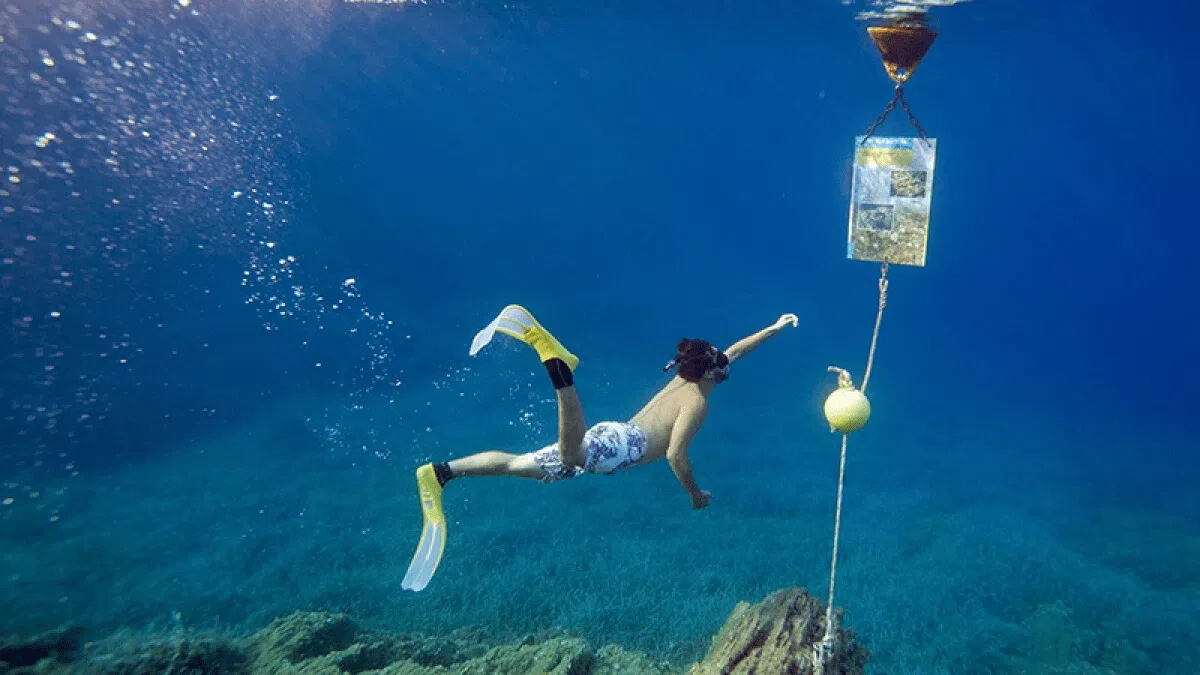 parc national de Port-Cros en snorkeling