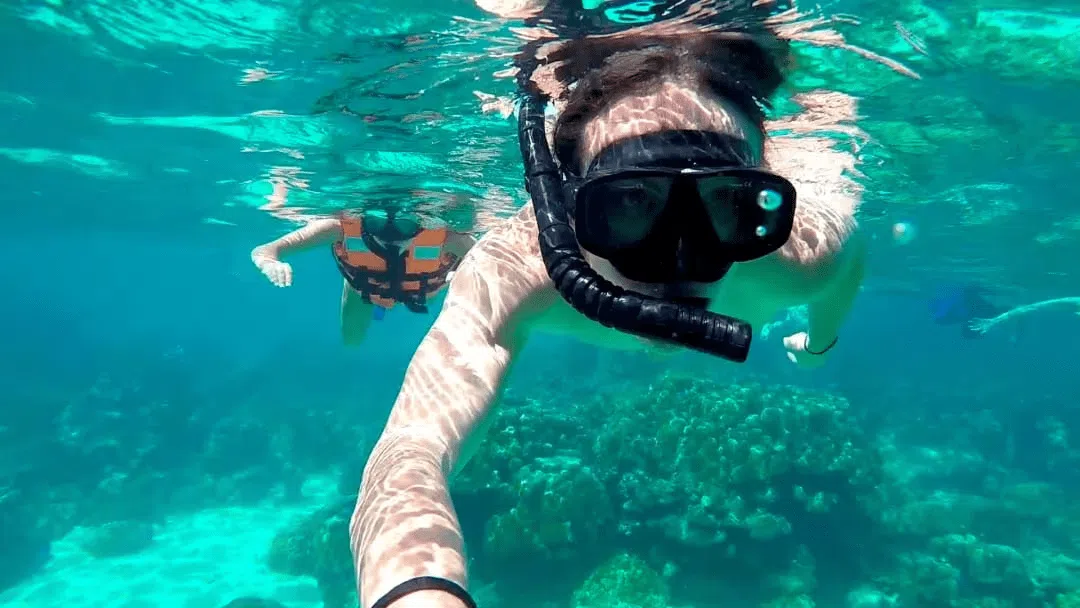 Snorkeling à Madère
