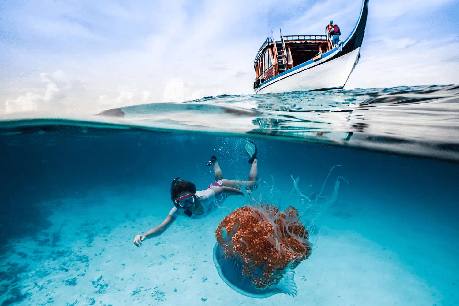 Snorkeling aux Maldives