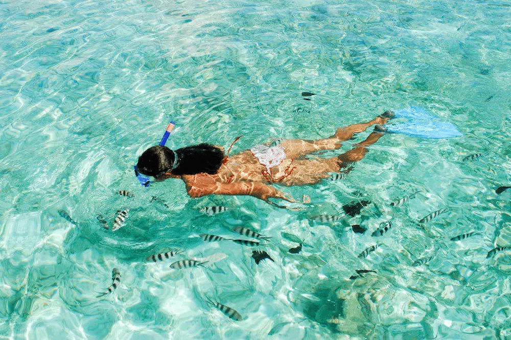 Snorkeling aux Seychelles
