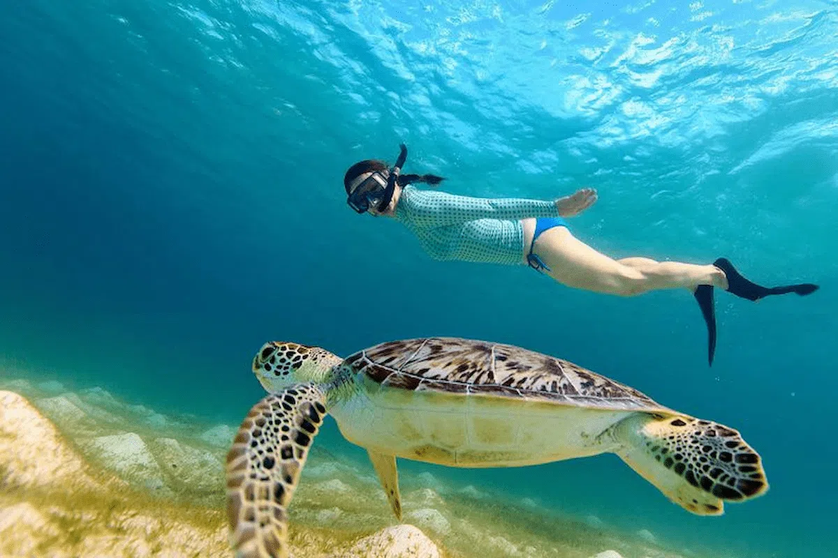 snorkeling en Thaïlande