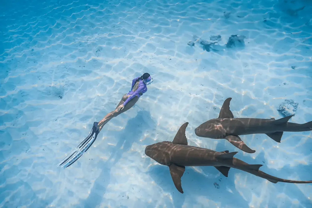 Snorkeling aux Maldives