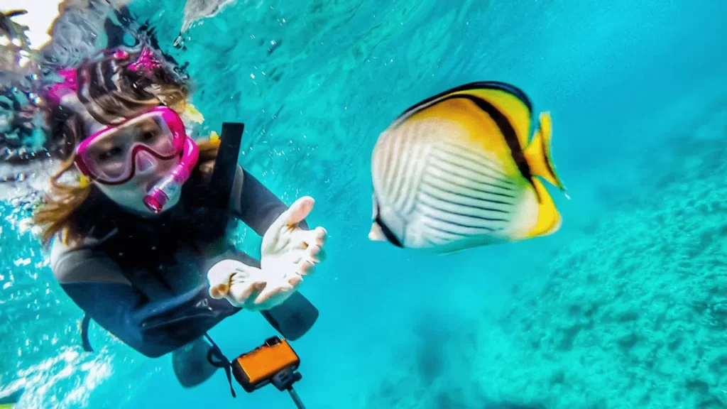 Snorkeling à Marseille
