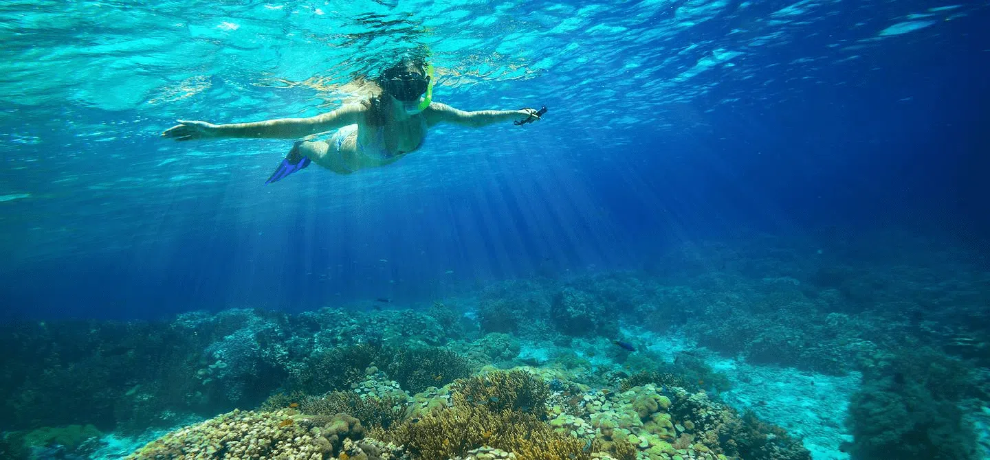 Snorkeling aux Philippines