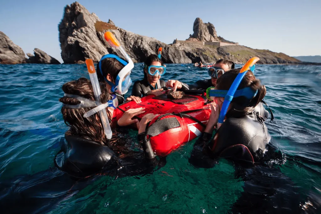 parc national de Port-Cros en snorkeling